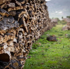 What is Cork?